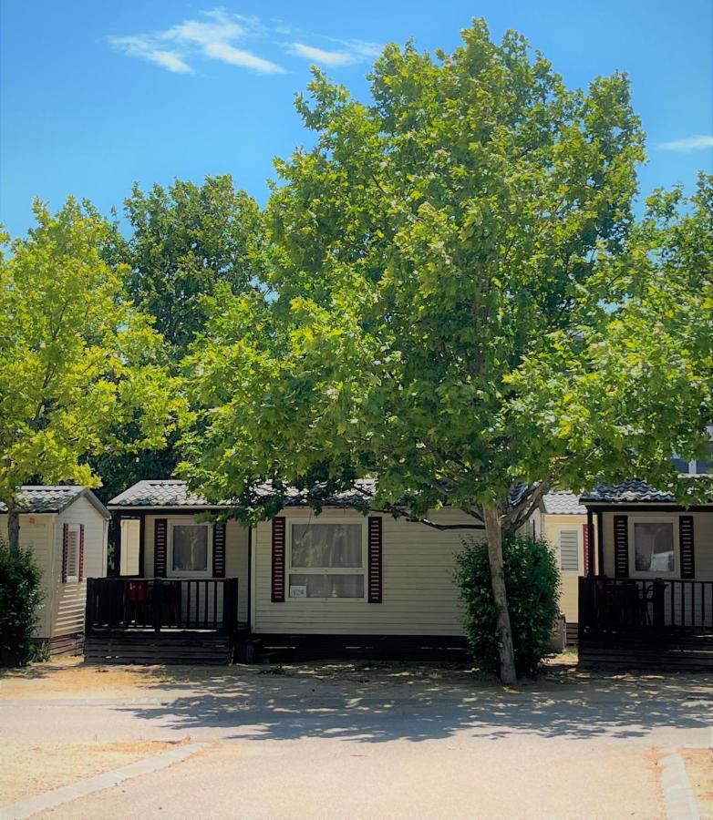 Bungalows Zaragoza Camping Esterno foto