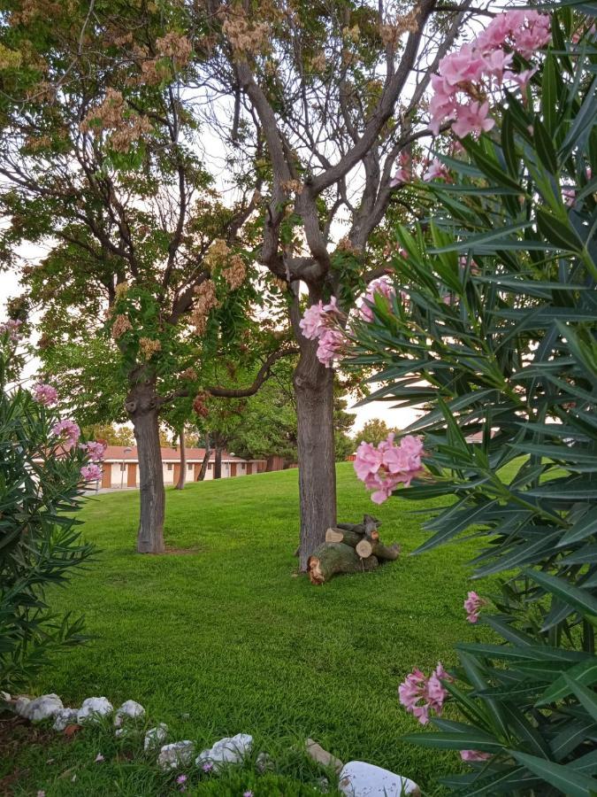 Bungalows Zaragoza Camping Esterno foto
