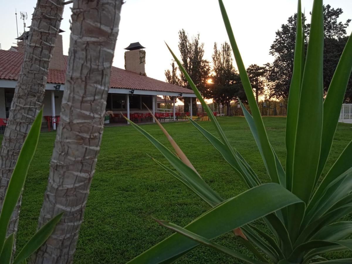 Bungalows Zaragoza Camping Esterno foto