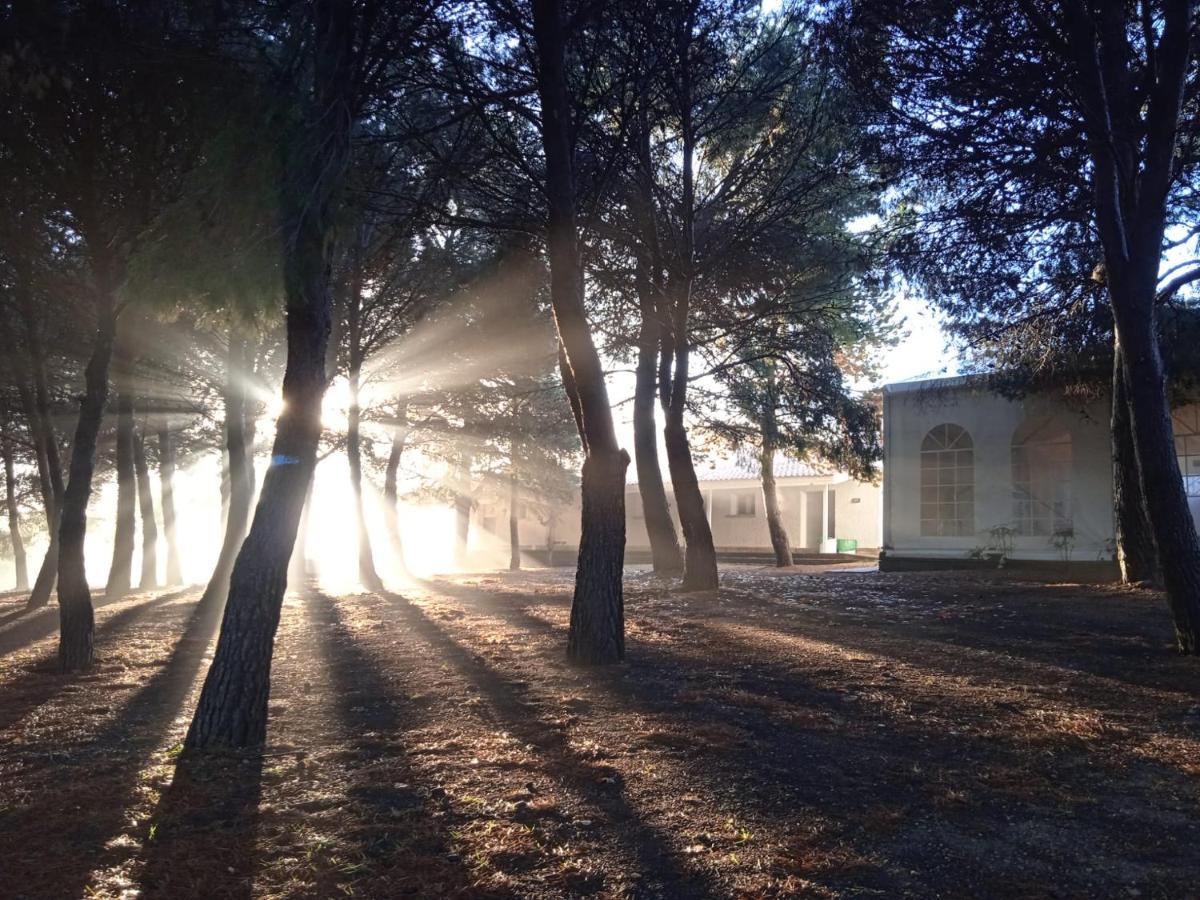 Bungalows Zaragoza Camping Esterno foto